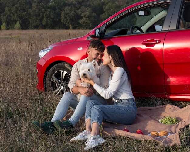 Практическое использование и преимущества Renault Espace